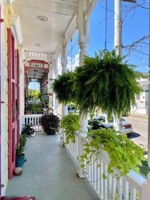 Historic Victorian Studio Near City Park Noma Bayou St John 뉴올리언스 외부 사진